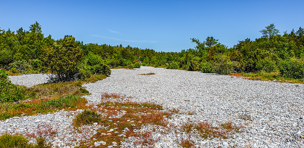 Die Höhe der Ablagerung der Feuerssteine beträgt durchschnittlich einen Meter