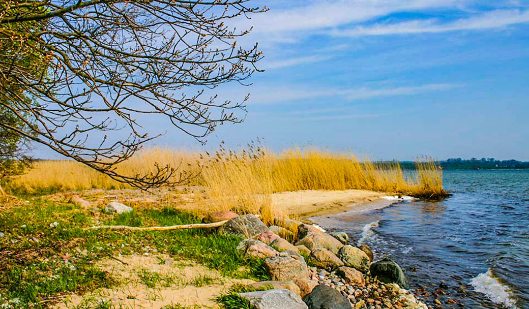 Das buschig bewachsene nördliche Ufer geht in Schwemmland über
